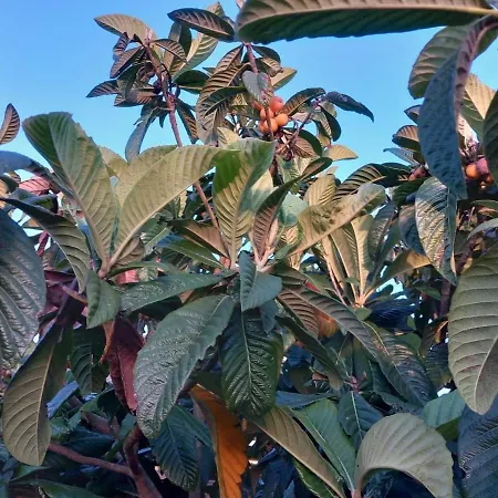 Apartman Casa Da Maria *